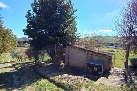 Villa i Falerone, Fermo, Falerone - € 135.000 | Ref: MG2414 - foto 28