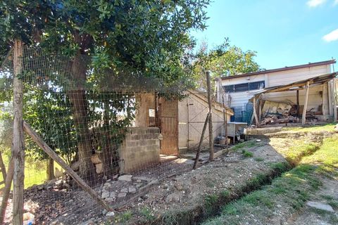 Villa i Falerone, Fermo, Falerone - € 135.000 | Ref: MG2414 - foto 29