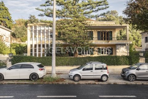 Villa a Alvalade, Setubal, Alvalade - € 2.500.000 | Ref: W-046Z13 - foto 41