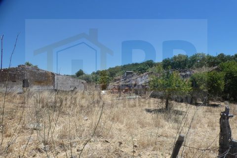 Farm i Terrugem e Vila Boim, Portalegre, Terrugem e Vila Boim - € 209.000 | Ref: MAS_59 - foto 2
