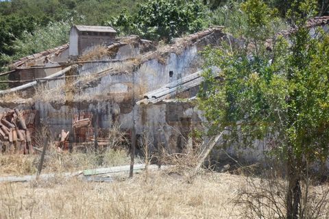 Farm i Terrugem e Vila Boim, Portalegre, Terrugem e Vila Boim - € 209.000 | Ref: MAS_59 - foto 3