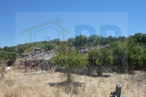 Farm i Terrugem e Vila Boim, Portalegre, Terrugem e Vila Boim - € 209.000 | Ref: MAS_59 - foto 4