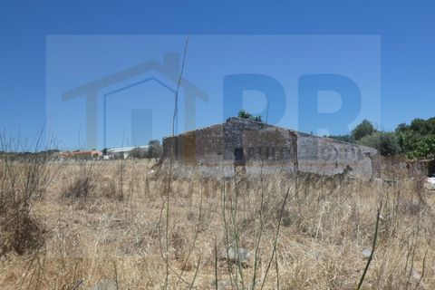 Farm i Terrugem e Vila Boim, Portalegre, Terrugem e Vila Boim - € 209.000 | Ref: MAS_59 - foto 5