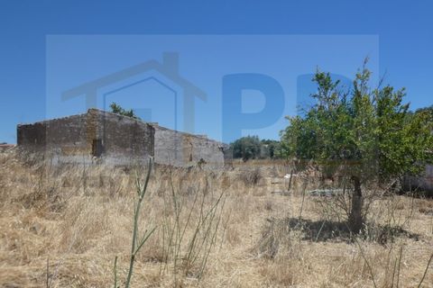 Farm i Terrugem e Vila Boim, Portalegre, Terrugem e Vila Boim - € 209.000 | Ref: MAS_59 - foto 6