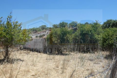 Farm i Terrugem e Vila Boim, Portalegre, Terrugem e Vila Boim - € 209.000 | Ref: MAS_59 - foto 7