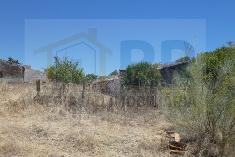 Farm i Terrugem e Vila Boim, Portalegre, Terrugem e Vila Boim - € 209.000 | Ref: MAS_59 - foto 8