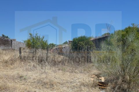 Farm i Terrugem e Vila Boim, Portalegre, Terrugem e Vila Boim - € 209.000 | Ref: MAS_59 - foto 9