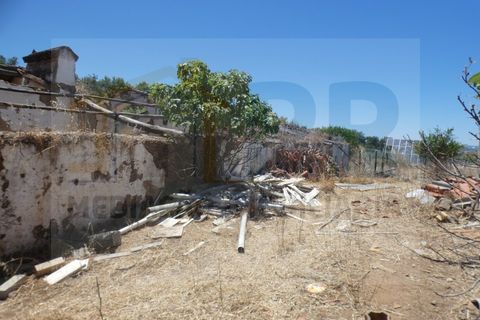 Farm i Terrugem e Vila Boim, Portalegre, Terrugem e Vila Boim - € 209.000 | Ref: MAS_59 - foto 14