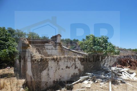 Farm i Terrugem e Vila Boim, Portalegre, Terrugem e Vila Boim - € 209.000 | Ref: MAS_59 - foto 15