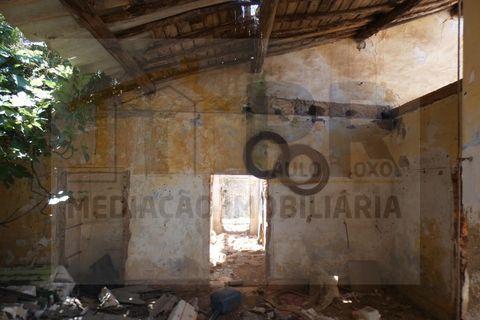 Farm i Terrugem e Vila Boim, Portalegre, Terrugem e Vila Boim - € 209.000 | Ref: MAS_59 - foto 16