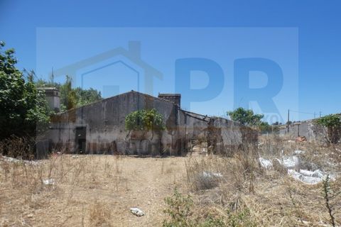 Farm i Terrugem e Vila Boim, Portalegre, Terrugem e Vila Boim - € 209.000 | Ref: MAS_59 - foto 18