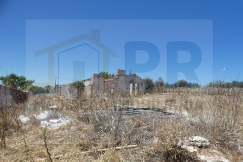 Farm i Terrugem e Vila Boim, Portalegre, Terrugem e Vila Boim - € 209.000 | Ref: MAS_59 - foto 19