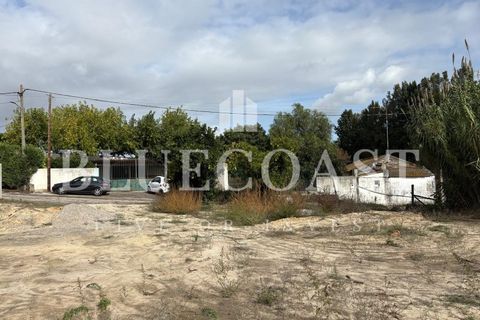 Helårsgrund i Palmela, Setubal, Palmela - € 180.000 | Ref: Terrcastanheiro_089/2025 - foto 12