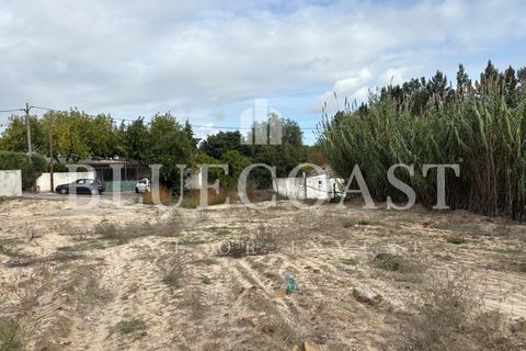 Helårsgrund i Palmela, Setubal, Palmela - € 180.000 | Ref: Terrcastanheiro_089/2025 - foto 13