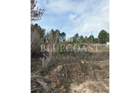 Helårsgrund i Palmela, Setubal, Palmela - € 180.000 | Ref: Terrcastanheiro_089/2025 - foto 15