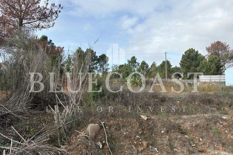 Helårsgrund i Palmela, Setubal, Palmela - € 180.000 | Ref: Terrcastanheiro_089/2025 - foto 17