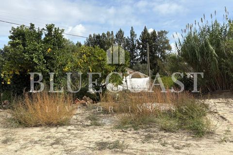 Helårsgrund i Palmela, Setubal, Palmela - € 180.000 | Ref: Terrcastanheiro_089/2025 - foto 19