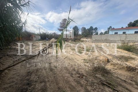 Helårsgrund i Palmela, Setubal, Palmela - € 180.000 | Ref: Terrcastanheiro_089/2025 - foto 2