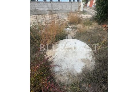 Helårsgrund i Palmela, Setubal, Palmela - € 180.000 | Ref: Terrcastanheiro_089/2025 - foto 23