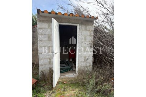 Helårsgrund i Palmela, Setubal, Palmela - € 180.000 | Ref: Terrcastanheiro_089/2025 - foto 31