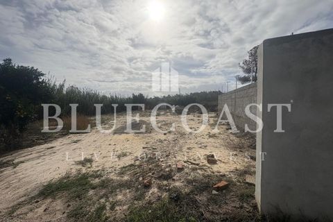 Helårsgrund i Palmela, Setubal, Palmela - € 180.000 | Ref: Terrcastanheiro_089/2025 - foto 33