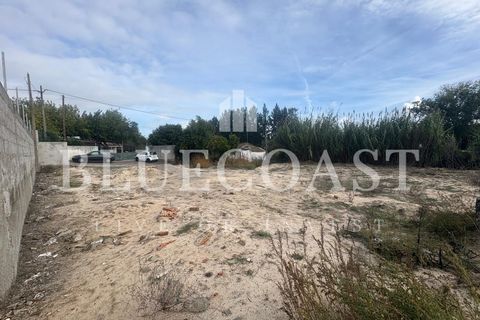 Helårsgrund i Palmela, Setubal, Palmela - € 180.000 | Ref: Terrcastanheiro_089/2025 - foto 35