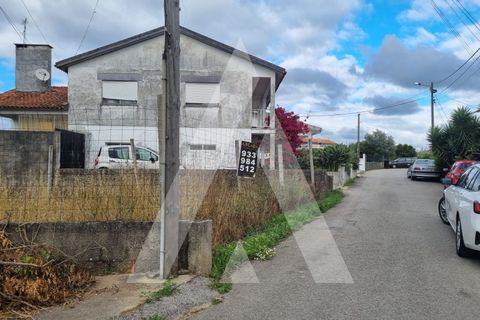 Tomt i Oia, Aveiro, Oia - € 27 500 | Ref: 1130142B/19 LR - foto 7