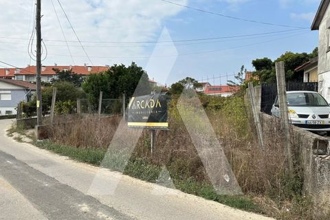 Tomt i Oia, Aveiro, Oia - € 27 500 | Ref: 1130142B/19 LR - foto 13