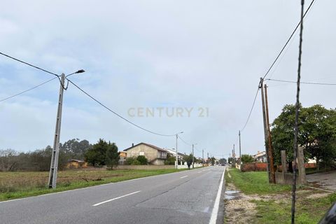 Helårsgrund i Vagos, Aveiro, Vagos - € 79.000 | Ref: C0385-00933 - foto 2