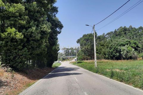 Helårsgrund i Vagos, Aveiro, Vagos - € 44.500 | Ref: C0385-00409 - foto 2
