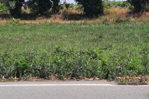 Helårsgrund i Vagos, Aveiro, Vagos - € 44.500 | Ref: C0385-00409 - foto 3
