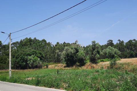 Helårsgrund i Vagos, Aveiro, Vagos - € 44.500 | Ref: C0385-00409 - foto 4