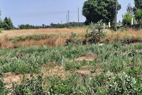 Helårsgrund i Vagos, Aveiro, Vagos - € 44.500 | Ref: C0385-00409 - foto 5