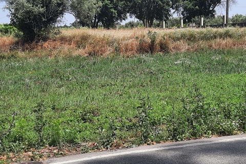 Helårsgrund i Vagos, Aveiro, Vagos - € 44.500 | Ref: C0385-00409 - foto 6