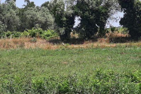 Helårsgrund i Vagos, Aveiro, Vagos - € 44.500 | Ref: C0385-00409 - foto 8