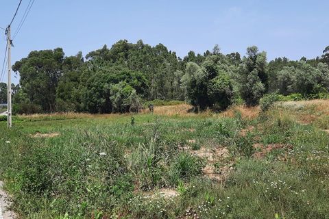 Helårsgrund i Vagos, Aveiro, Vagos - € 44.500 | Ref: C0385-00409 - foto 9