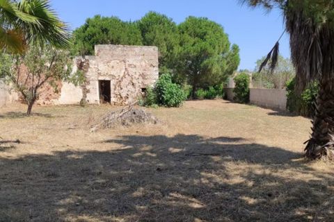 Tomt i Taviano, Lecce, Taviano - € 99 000 | Ref: TAVYZ-99 - foto 2