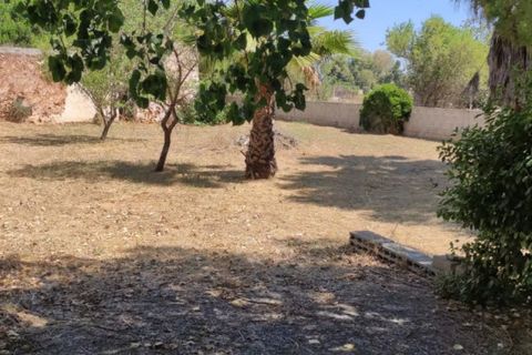Tomt i Taviano, Lecce, Taviano - € 99 000 | Ref: TAVYZ-99 - foto 3