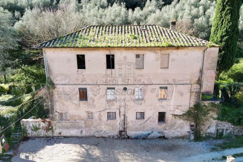 Villa i Capannori, Lucca, Capannori - € 350.000 | Ref: IA01744 - foto 2