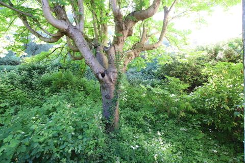 Villa i Capannori, Lucca, Capannori - € 350.000 | Ref: IA01744 - foto 21