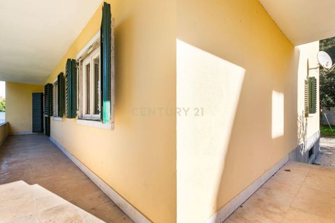 Villa i Alvalade, Setubal, Alvalade - € 2.500.000 | Ref: C0539-00004 - foto 15