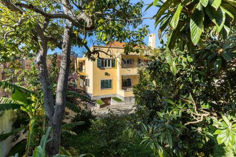 Villa i Alvalade, Setubal, Alvalade - € 2.500.000 | Ref: C0539-00004 - foto 49