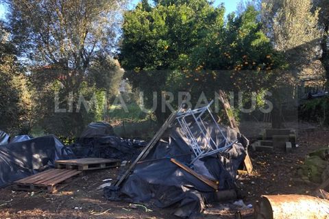 Villa i Ponte de Lima, Viana do Castelo, Ponte de Lima - € 55.000 | Ref: CAS_1030 - foto 6