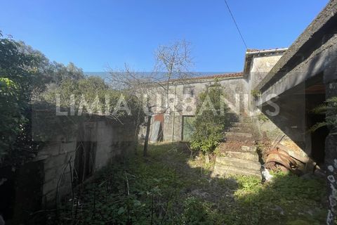 Landejendom i Ponte de Lima, Viana do Castelo, Ponte de Lima - € 400.000 | Ref: CAS_958 - foto 3