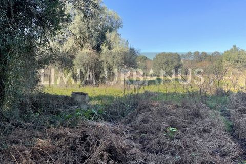 Landejendom i Ponte de Lima, Viana do Castelo, Ponte de Lima - € 400.000 | Ref: CAS_958 - foto 4