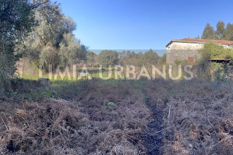 Landejendom i Ponte de Lima, Viana do Castelo, Ponte de Lima - € 400.000 | Ref: CAS_958 - foto 5