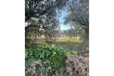 Landejendom i Ponte de Lima, Viana do Castelo, Ponte de Lima - € 400.000 | Ref: CAS_958 - foto 6
