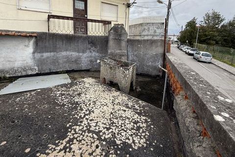 Rækkehus i Soure, Coimbra, Soure - € 60.000 | Ref: M-29819 - foto 17