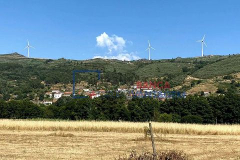 Farm i Vila Pouca de Aguiar, Vila Real, Vila Pouca de Aguiar - € 190.000 | Ref: M-27358 - foto 17