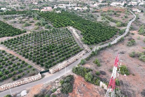 Helårsgrund i Paderne, Faro, Paderne - € 86.000 | Ref: KWPT-024033 - foto 8
